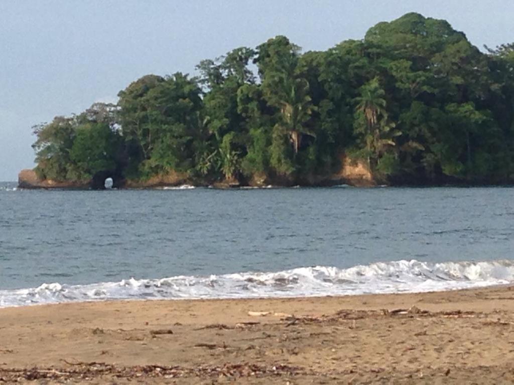 Hotel One Love Puerto Viejo Puerto Viejo de Talamanca Zewnętrze zdjęcie