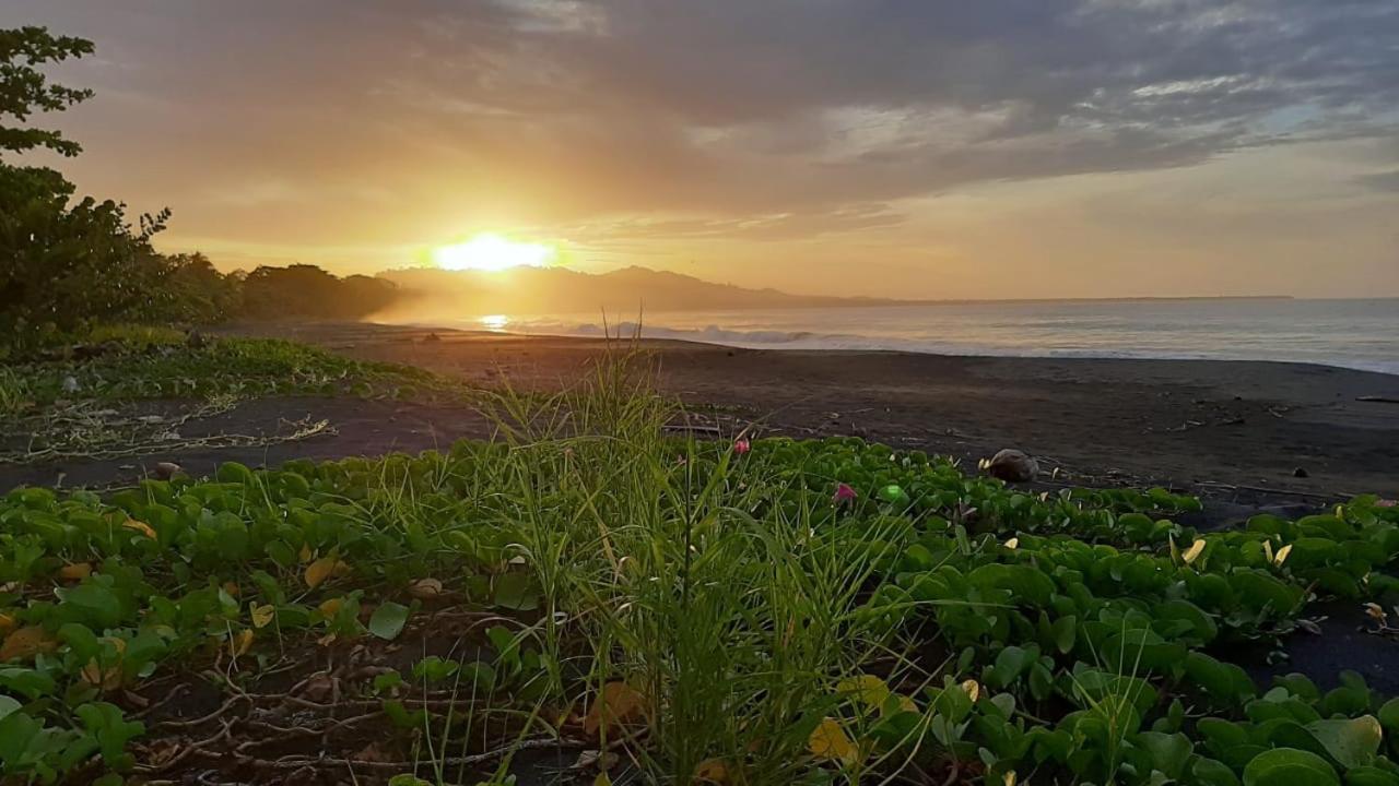 Hotel One Love Puerto Viejo Puerto Viejo de Talamanca Zewnętrze zdjęcie