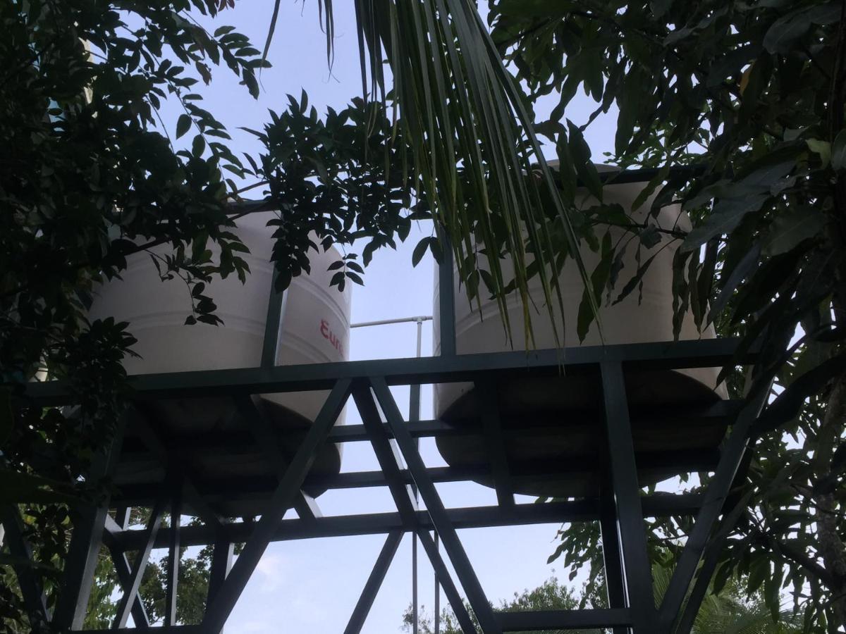 Hotel One Love Puerto Viejo Puerto Viejo de Talamanca Zewnętrze zdjęcie