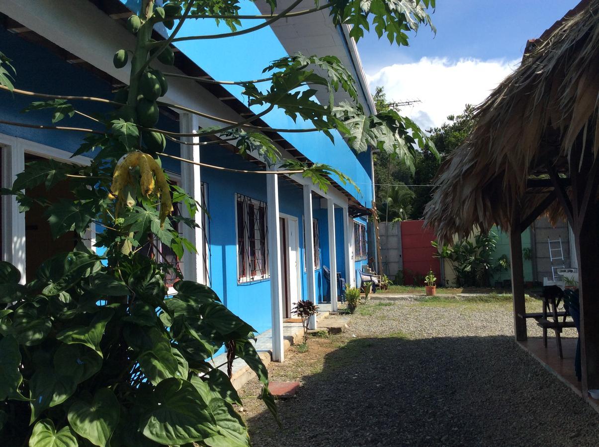 Hotel One Love Puerto Viejo Puerto Viejo de Talamanca Zewnętrze zdjęcie